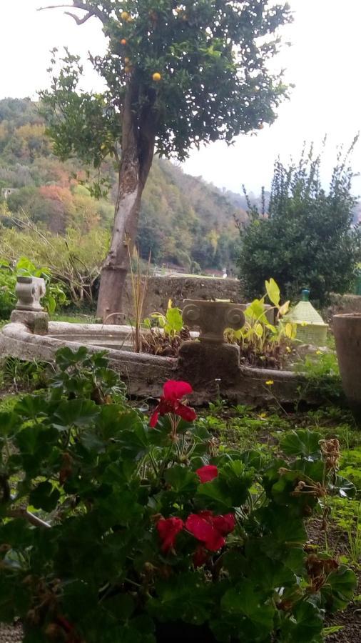 L'Antico Giardino Vietri Exterior foto